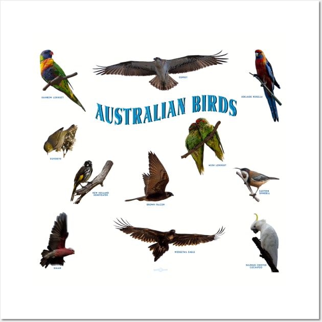Australian native birds collection Wall Art by seadogprints
